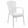 Кресло пластиковое TYA- Royal (цвет в ассортименте)